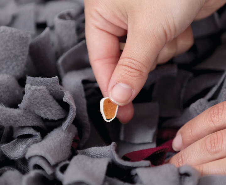 TRIXIE Activity Schnüffelteppich